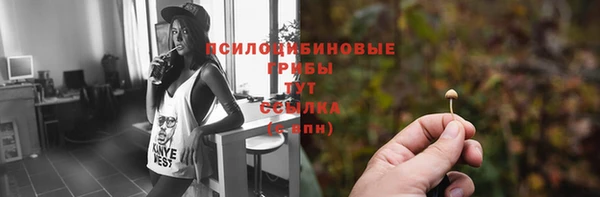 крисы Володарск
