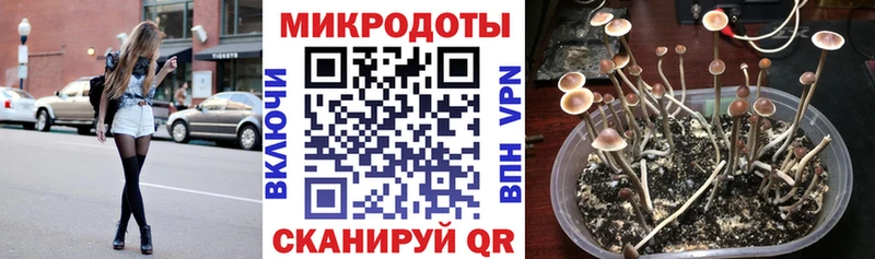 как найти наркотики Раменское Галлюциногенные грибы прущие грибы
